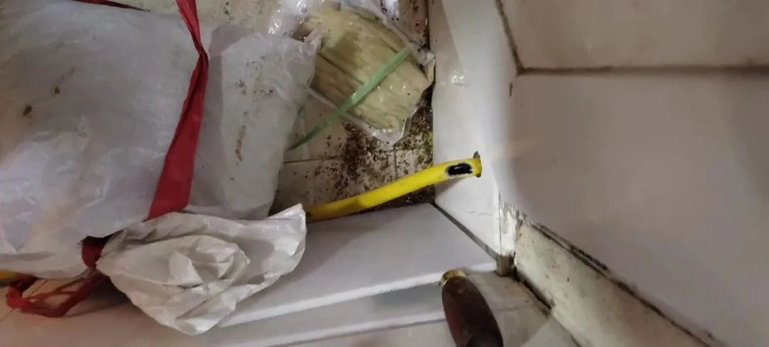 燃氣(qì)軟管被(bei)老鼠咬(yǎo)了個大(da)窟窿，竟(jing)然……