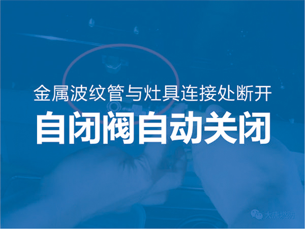 大(da)唐自閉(bi)閥又立(li)功了！